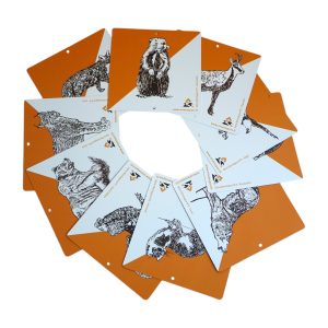 10 balises animaux "Montagne" - Orientsport